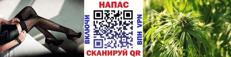 Конопля гибрид  Называевск 